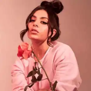 Charli Xcx - 100